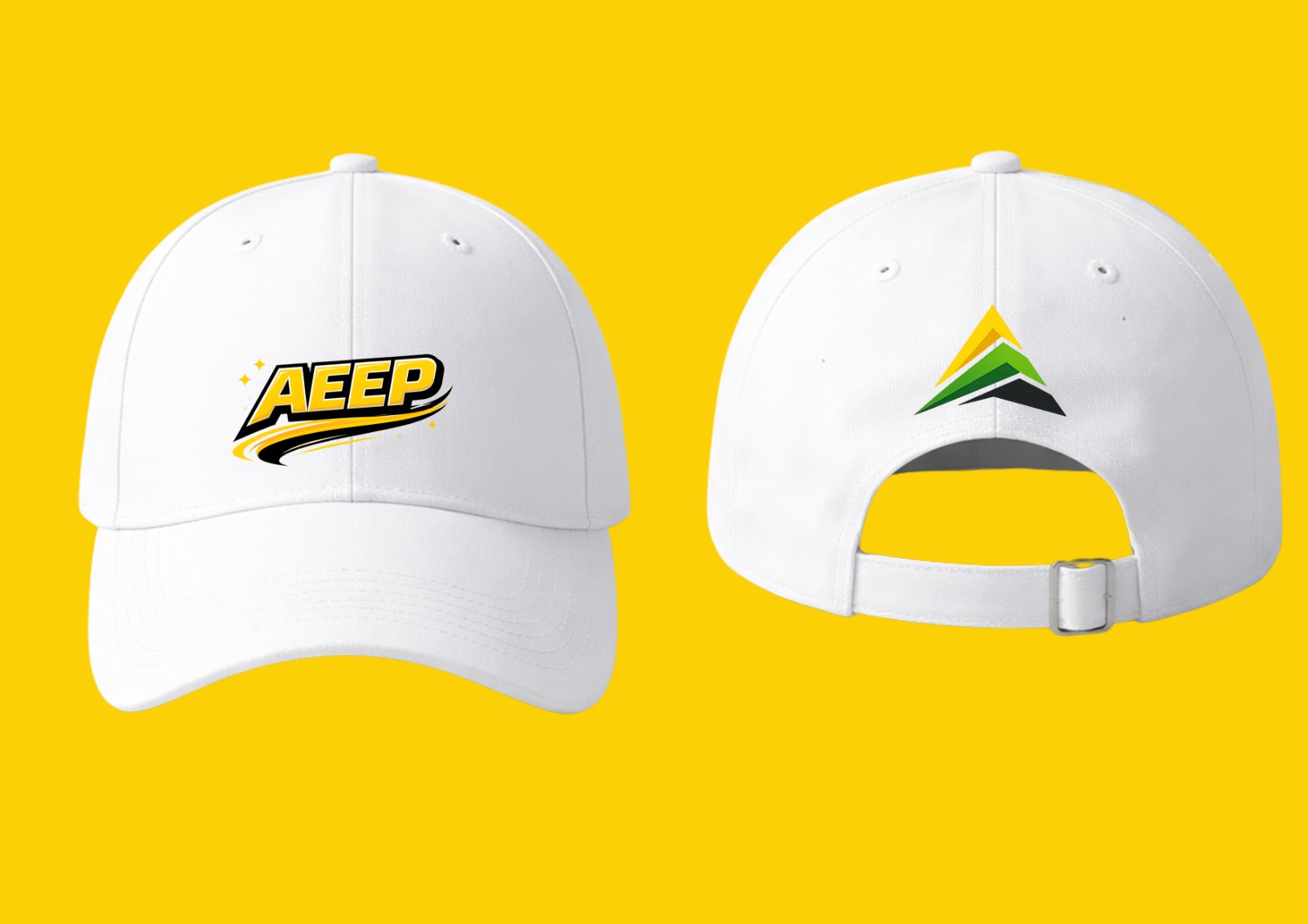 Cérémonie AEEP - Photo 6